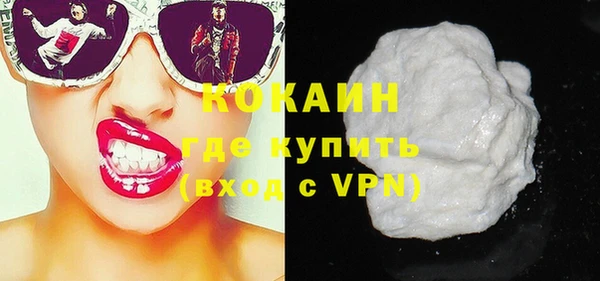твердый Дмитриев