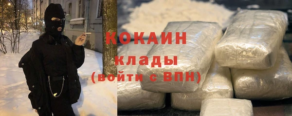 стаф Дмитровск