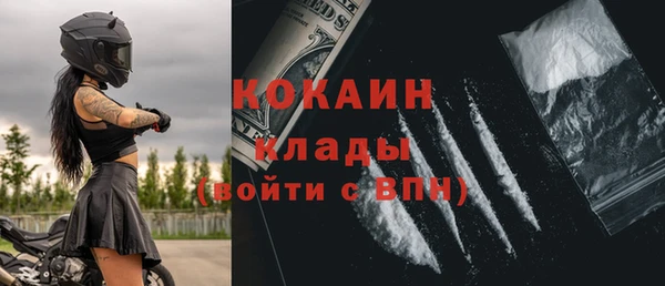 твердый Дмитриев