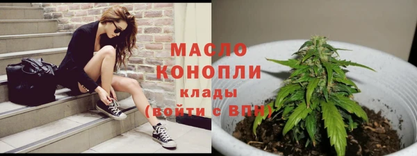 стаф Дмитровск