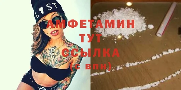 стаф Дмитровск