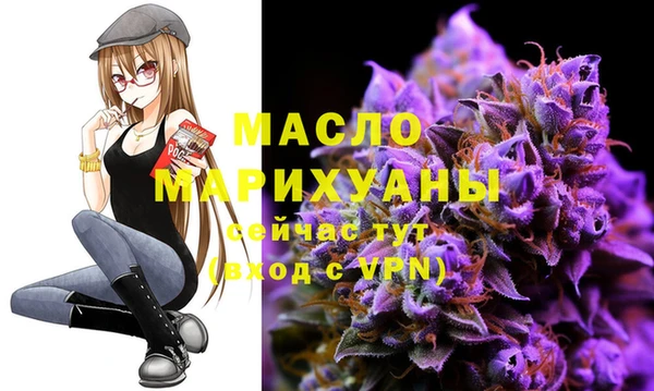твердый Дмитриев