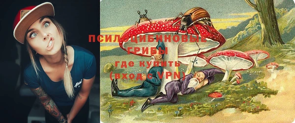 твердый Дмитриев
