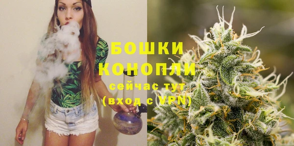 твердый Дмитриев