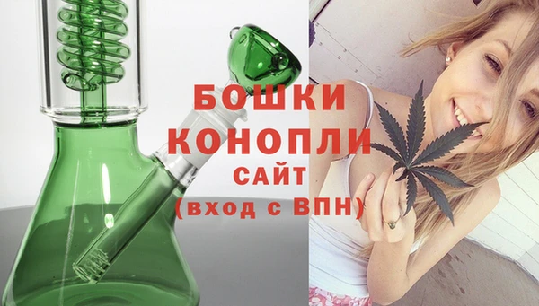 твердый Дмитриев