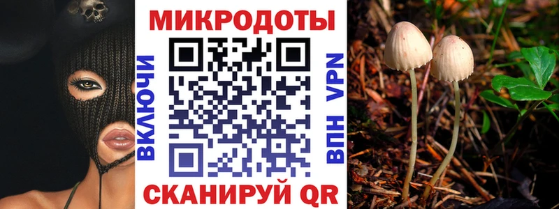 Псилоцибиновые грибы GOLDEN TEACHER  где можно купить   Ипатово 