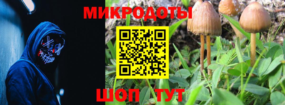 Галлюциногенные грибы прущие грибы  Вход с VPN  Галлюциногенные грибы мицелий  Ипатово 